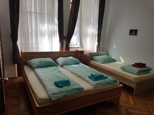 Apartments Fazarinc with parking, wellness and city store in the center of Celje