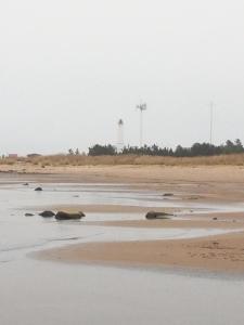 Ranta-Sumppu mökki 7