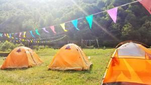 Pankisi Camping