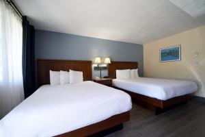 Queen Room with Two Queen Beds - Non-Smoking room in Village Inn