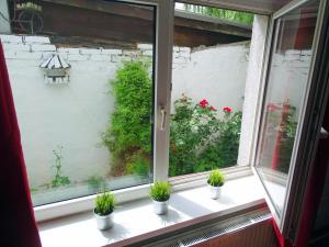 Mur 4 - Apartament z patio