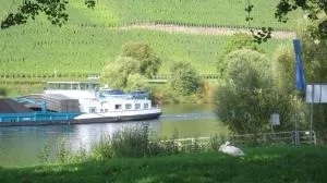 2type4 - Apartments - Osann-Monzel