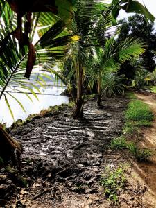 Ayanas Homestay