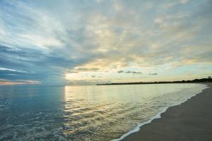 The Calm Resort & Spa