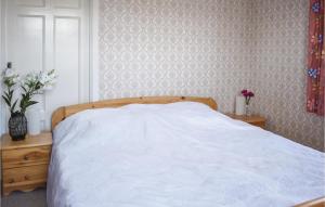 Nice Home In Bruzaholm With Kitchen