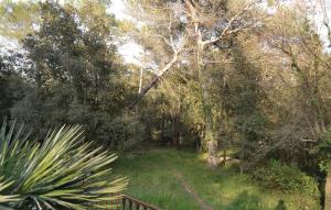 Maisons de vacances Awesome Home In La Roquette Sur Siagne : photos des chambres