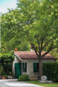 Luxury Apartments Villa Klara