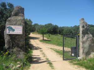 Il Vecchio Ginepro img41