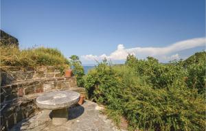 Beautiful Apartment In Piran With Wifi