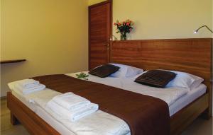 Beautiful Apartment In Lasko With Wifi 