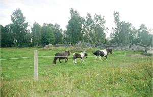 Two-Bedroom Holiday Home In Mullsjo