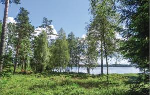 Nice Home In Långaryd With Wifi