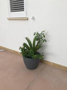 Dimora il Granaio
