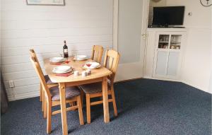 Nice Apartment In Hippolytushoef