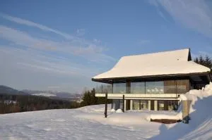 Villa Panorama - Szklany Dom - 亚布伦科夫