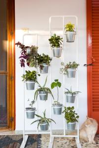 Art Island House Spetses Greece