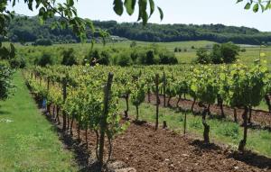 Maisons de vacances Nice Home In Puy Levque With 3 Bedrooms, Wifi And Outdoor Swimming Pool : photos des chambres