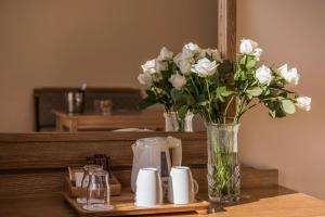 Canvas by Mitsis Family Village