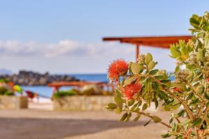 Emmanouela's Apts Chania Greece
