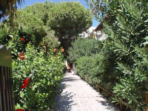 Sunset Patmos Greece