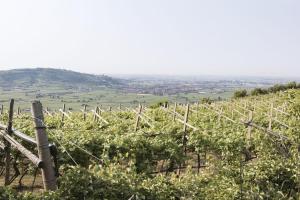 Corte dei Soavi Suites - Apartments