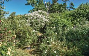 1 Bedroom Nice Apartment In Listerby