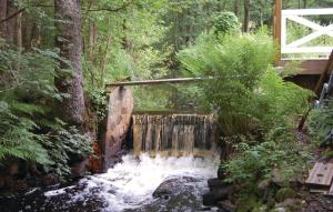 1 Bedroom Stunning Home In Örkellunga