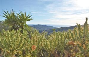 Lovely Apartment In Serra Di Ferro