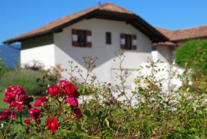 Apartments Schloss Paschbach