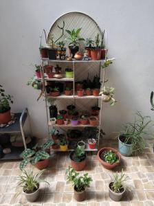 ALOJAMIENTO FAMILIAR ORQUIDE@S