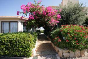 Artemis Village Apartments & Studios Chania Greece