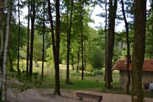 Campings Mobile home des pins : photos des chambres