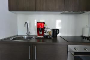 Luxury Mountain Apartment