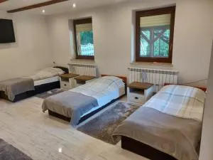 NOCLEGI-SPŁYWY BUGIEM - Pulʼmo