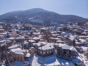 CAVE Chalet & Spa Parnassos Greece