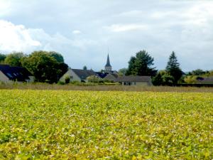 Appart'hotels Residence VTF Les Allees du Green : photos des chambres