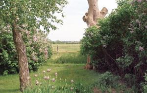 Awesome Apartment In Saxtorp With Wifi