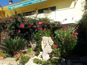 Torre Del Pozzo img24