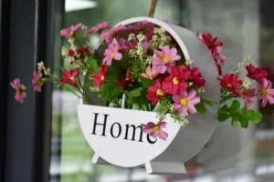 New Green - Ciobănuş