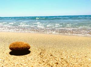 Maracaibo Holiday Flat