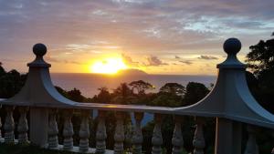 Calm Sorento