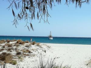 VILLA A 200 METRI DALLA SPIAGGIA img49