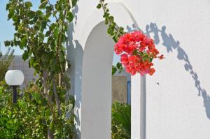 Dilino Hotel Studios Naxos Greece