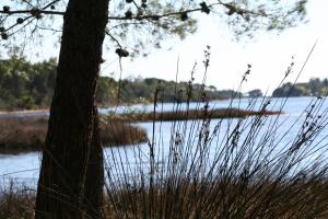 Villa La Conchiglia Rooms img17