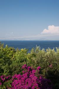 Ionian Garden Villas - Villa Pietra