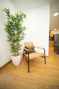 O Melhor Sítio do Mundo - NOVO na Nazaré