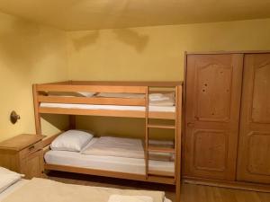 Almapartment Skiwiege - Ski-in - Ski-out ONLY