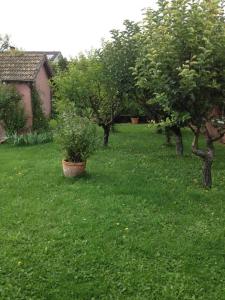 Les portes du vignoble