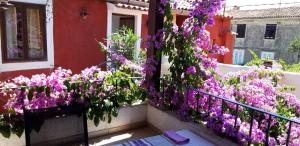 Apartman i Sobe Čule Cres