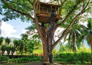 Casa en el Arbol - Utica